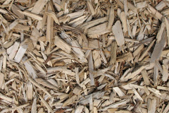 biomass boilers Cringletie